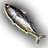 Any Fish