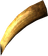 Sabre Cat Tooth