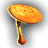 Guepinea Mushroom