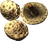 Scaly Pholiota