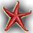 Starfish