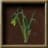 Swampweed