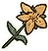 St. John's wort